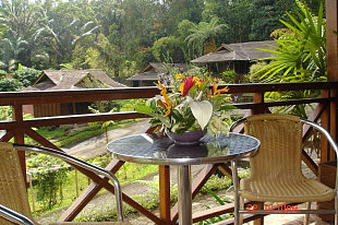 View from veranda